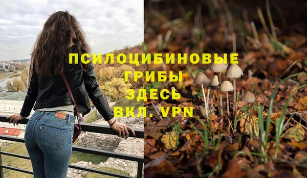 гидра Нязепетровск